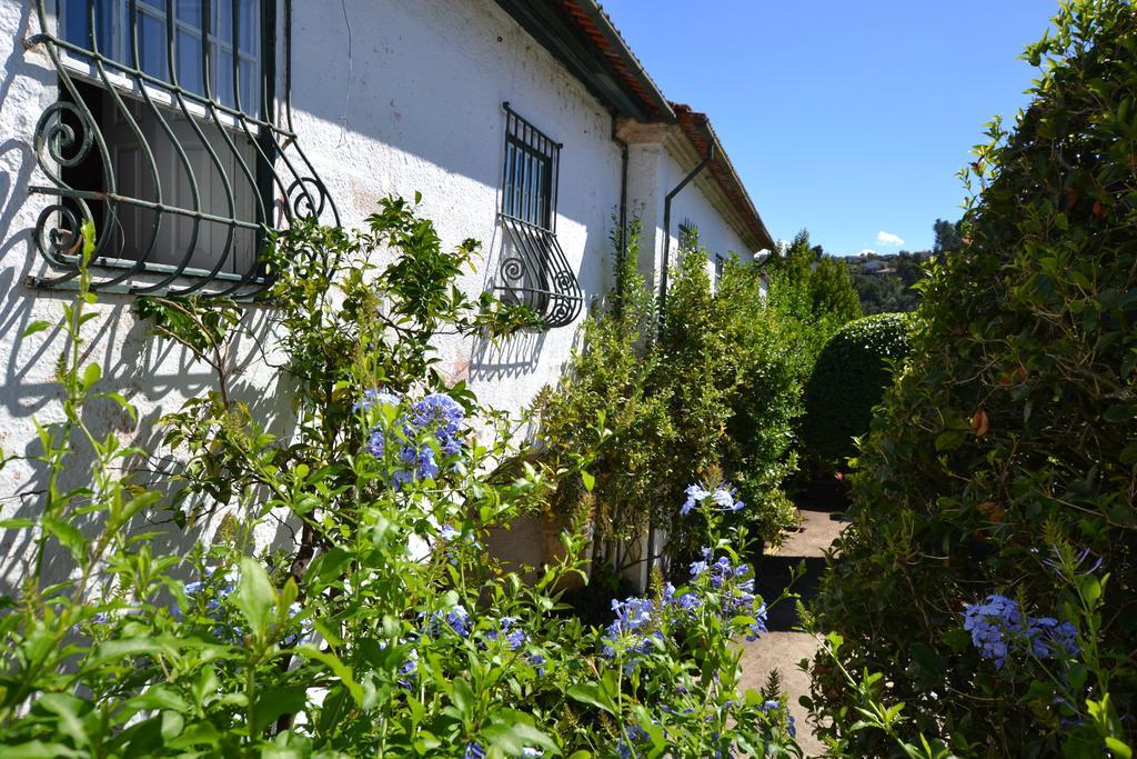 Casa Do Campo - Turismo De Habitacao Bed and Breakfast Celorico De Basto Buitenkant foto